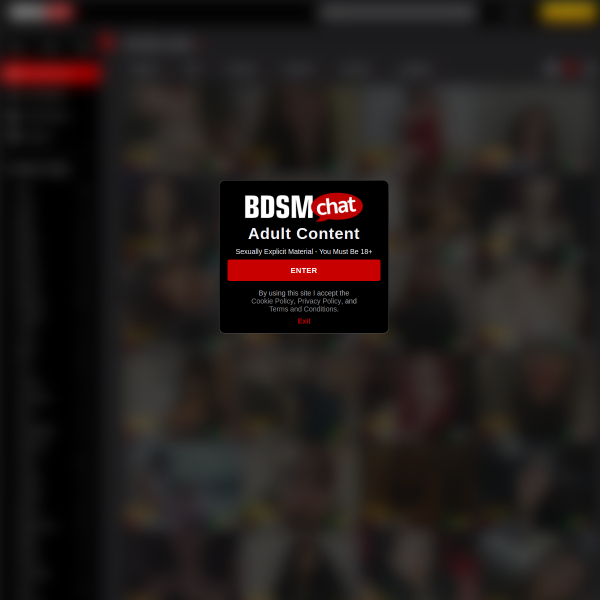 BdsmChat preview